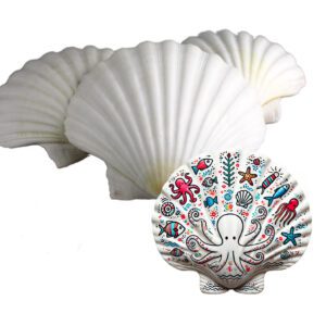 Muszla do malowania piękna duża naturalna muszla Pecten Maximus BIAŁA 3 szt